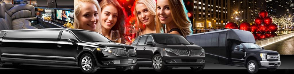 Houston Christmas Lights Limo Bus Tours, Limousine, Sedan, Van, SUV, Party Bus, Shuttle, Charter, Spirit, Holiday, Trail of Lights, Santa, Dallas, December Nights, Festival of Lights