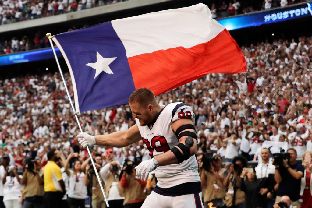 Houston Tailgating Party Bus Services, Limo Bus, shuttle, Charter, Limousine, SUV, Tailgate, BBQ, Sedan, Texans Football, NFL, TDECU Stadium, NRG stadium, Cougars, University of Houston, UH