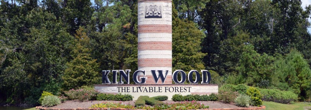 Kingwood Party Bus Rental Services, Limo, Limousine, Shuttle, Charter, Birthday, Bachelor, Bachelorette Party, Wedding, Funeral, Brewery Tours, Winery Tours, Houston Rockets, Astros, Texans