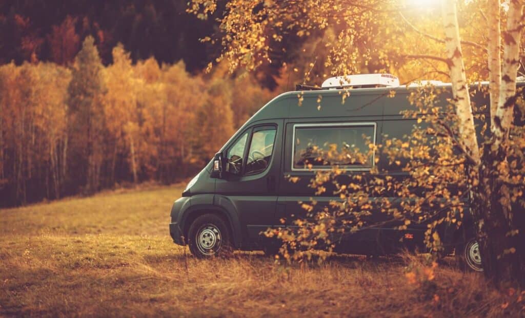sprinter chauffeur service